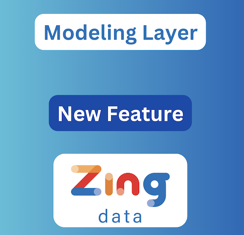 Zing Modeling Layer